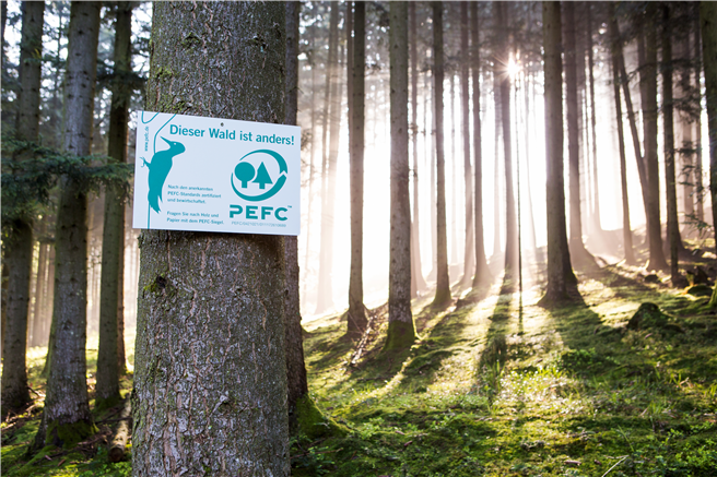 Waldzertifizierungssysteme wie PEFC und FSC wollen das Klima, die Artenvielfalt und Ressourcen schützen und gleichzeitig ökologische Produkte zum Leben, Wohnen und Heizen bereitstellen. Foto: © PEFC Deutschland, Ute Kaiser