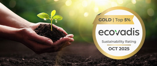 WEPA erhält EcoVadis Gold-Medaille