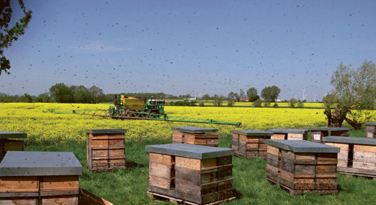 Glyphosat: EU-Kommission ignoriert Gerichtsurteil – Aurelia Stiftung setzt Frist
