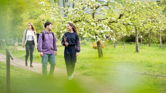 Nachhaltigkeit als Wettbewerbsvorteil: Berufsbegleitende Zertifikate zu Dekarbonisierung und Lieferketten