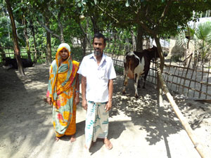 Durch Milch-Sammelstellen profitieren die Bauern in Bangladesch gleich mehrfach. 