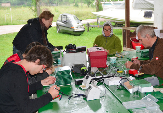 Freiwillige Helfer, tausende von Arbeitsstunden, eine begeisterte Resonanz bei den Bienenfreunden und der Next Economy Award. Foto: © Bienensauna.de