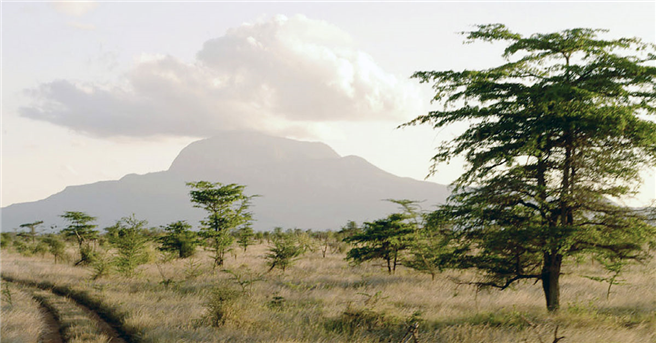 Neben der CO2-Einsparung sorgt das Waldschutzprojekt im Kasigau Wildlife Corridor, Kenia für lokale Arbeitsplätze und schützt zudem vorhandene Wasser­ressourcen. Foto: © ClimatePartner
