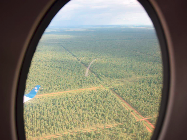 Wo früher karge Steppe war, reichen heute Wälder, so weit das Auge reicht. © Isabela Cajiao-Angelelli 