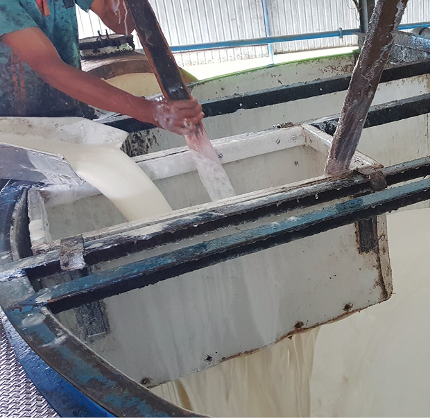 In dieser Weiterverarbeitungsanlage wird flüssiger Latex angeliefert, der zu 'Fellen' oder Blöcken weiterverarbeitet wird