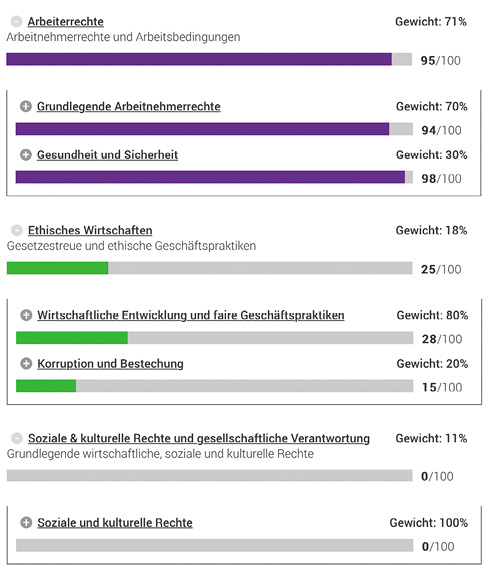 Für jedes Siegel werden die einzelnen Bewertungsergebnisse der Bereiche Umwelt, Soziales und Glaubwürdigkeit zusammengefasst. © Bundesministerium für wirtschaftliche Zusammenarbeit und Entwicklung