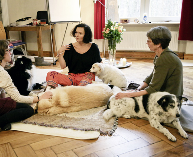 Maja Nowak nutzt das einzigartige Einfühlungsvermögen von Hunden als Seelenkompass für den Menschen. Durch ihren Heilansatz „Du selbst sein