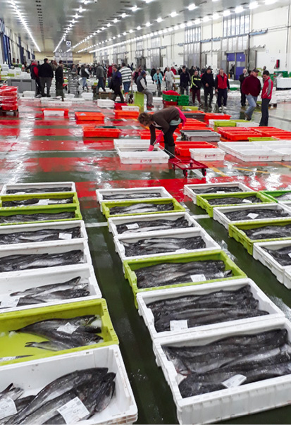 Fischmarkt in Vigo © Hockun, DUH