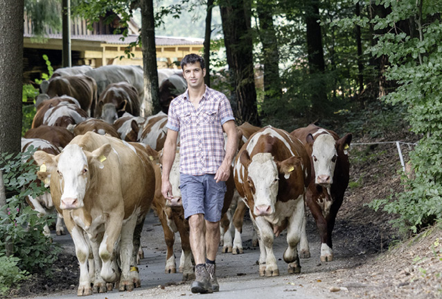 Die gute Heumilch der Landwirtsfamilie Veicht wird zu einem von über 150 Produkten verarbeitet. © Nirschlhod, Stefan Rossmann