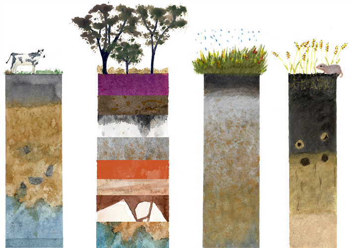 Die Vielschichtigkeit des Bodens sorgt für mannigfaltige Nutzungsmöglichkeiten und eine hohe Biodiversität. © Selina Tenzer