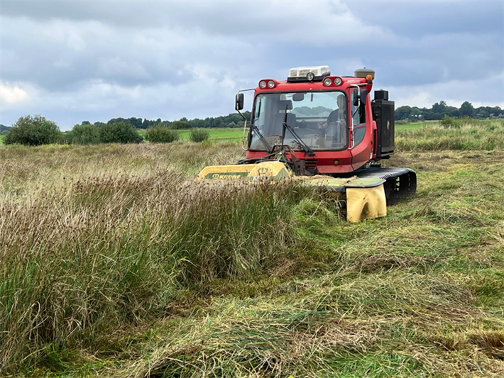 Eine Mähraupe erntet die Paludi-Gräser. &copy; Malena Rohwer; Stiftung Naturschutz Schleswig-Holsten