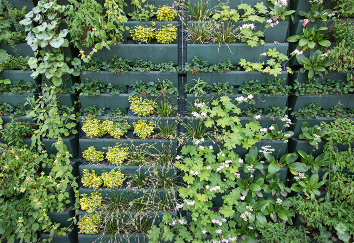 Modulare begrünte Fassaden liefern gleich mehrere Benefits: ein angenehmes Klima, ein schönes Stadtbild sowie Ressourcenschonung. &copy; Gemeinde Venlo