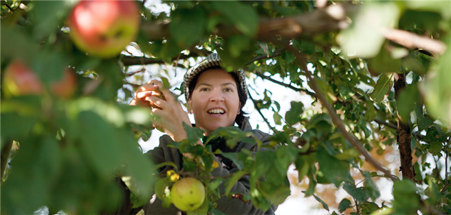 Das Berliner Projekt um Anja Fiedler 'Stadt macht satt' geht den Schattenseiten globaler und industrieller Lebensmittelproduktion entgegen. © Stadt macht satt
