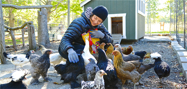 Die Schauspielerin Isabella Rossellini züchtet seit einigen Jahren mit Begeisterung alte Hühnerrassen. Das liegt auch in Deutschland im Trend. Doch viel wichtiger ist es jetzt gerade für Bioanbieter, neue Zweinutzungszüchtungen auf den Weg zu bringen. © Sara Gibler