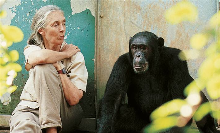Die weltberühmte Primatenforscherin und UN-Friedensbotschafterin Dr. Jane Goodall im Dialog mit einem Freund. © Michael Neugebauer Jane Goodall Institute 
