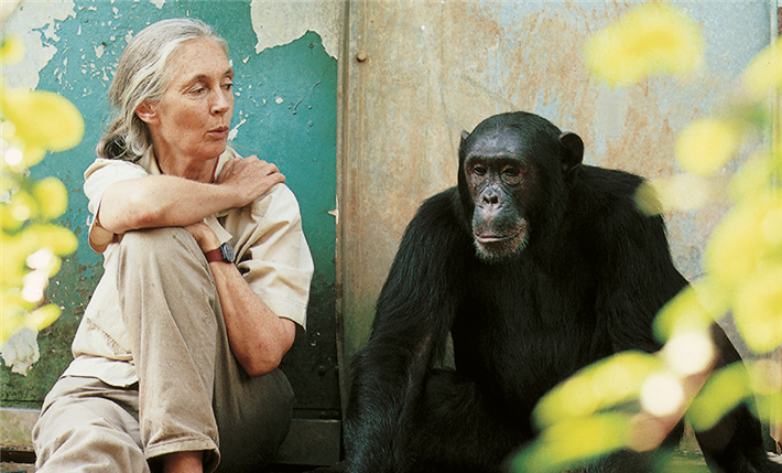 Die weltberühmte Primatenforscherin und UN-Friedensbotschafterin Dr. Jane Goodall im Dialog mit einem Freund. © Michael Neugebauer Jane Goodall Institute