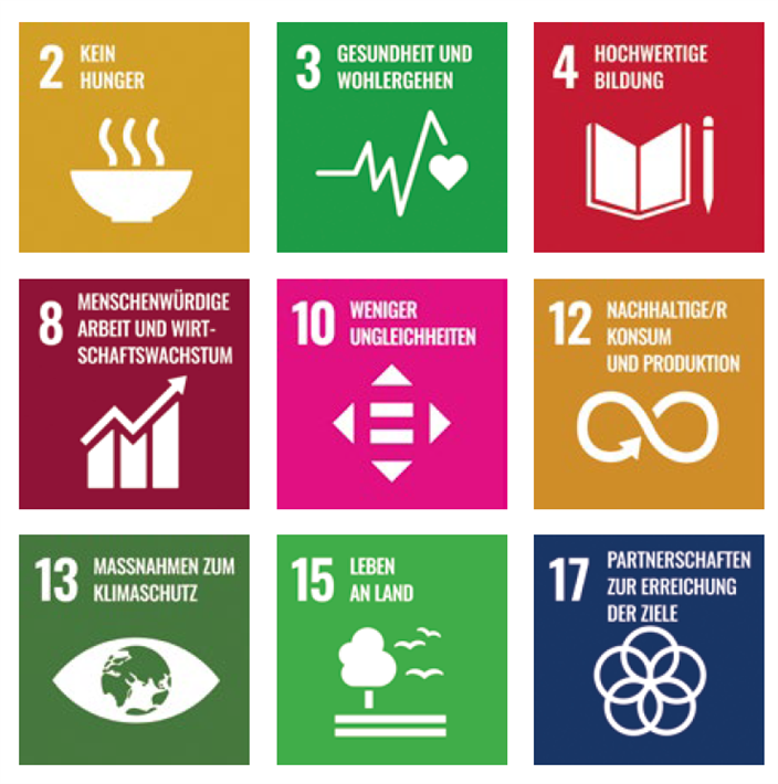 Das Wahat-Projekt trägt gleich zur Erreichung von 9 Zielen der Sustainable Development Goals (SDG) bei.