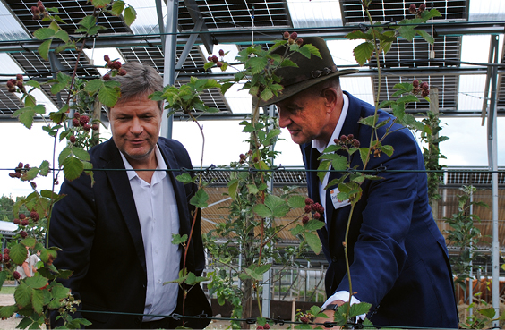 Peter Schrum (r.) demonstriert hunderten von Besuchern die Vorteile von Agri-PV, hier dem ehemaligen Wirtschaftsminister Robert Habeck. © Sunfarming