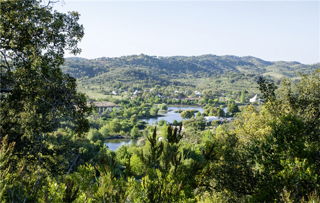 Die Wasserretentionslandschaft von Tamera – auch im Sommer bleibt das Grundstück in Südportugal ganzjährig grün. Eine Ausnahmeerscheinung in der staubtrockenen Gegend. © Simon du Vinage