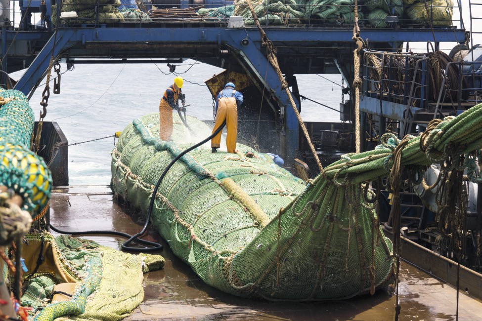 Wie beziffert man den Wertverlust, der durch Überfischung entsteht? Wer haftet für den 'Schaden'? Wer entschädigt kleine Fischer für den Verlust ihrer Existenz? © Igor Chaikovskiy / fotolia.com