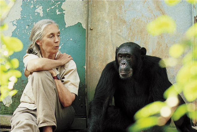 Jane Goodall © Michael Neugebauer