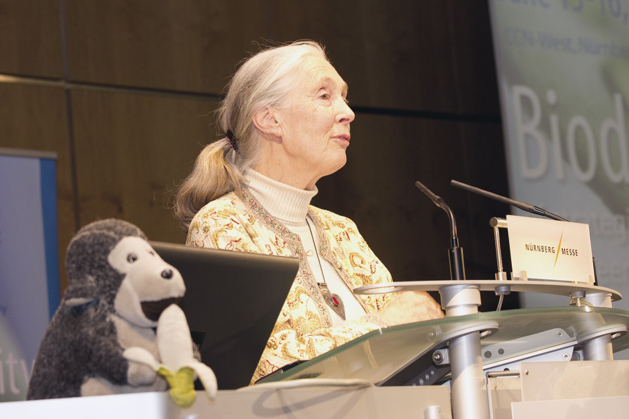Jane Goodalls Reden sind legendär und ziehen die Zuhörer – vom Schüler bis zum CEO – in ihren Bann. In Kooperationen mit ­ausgewählten Unternehmen setzt sie sich für Mensch und Umwelt ein. © Andre Zacher