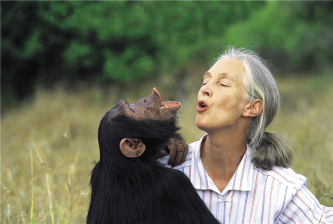 Jane Goodall beim Schimpasenruf © Jane Goodall Institute