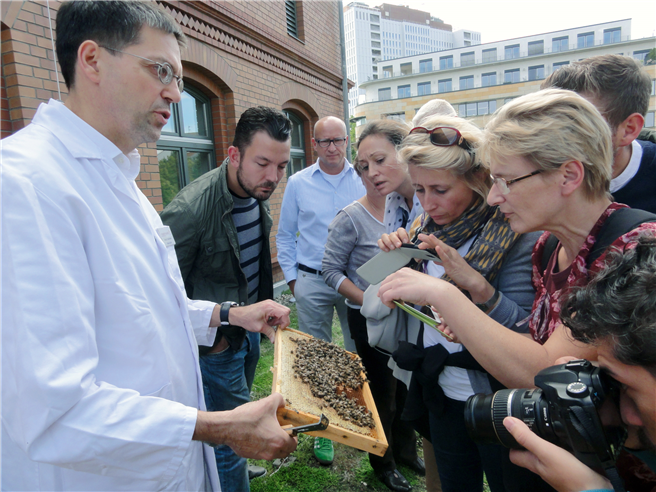 Im rahmen ihres social days erhielten 18 mitarbeiter der deutschen bahn ein 2-tages-rundum-lernpaket „wild- und honigbienen. foto: © giuseppe moncada