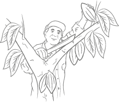  Quelle: REWE, Leitlinien Kakao