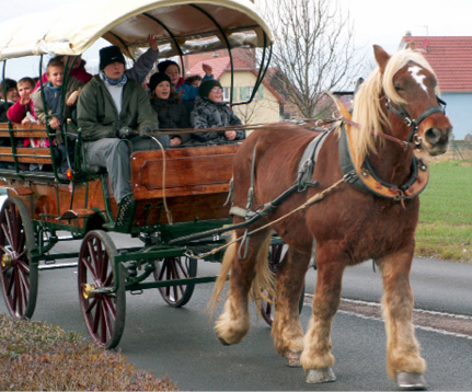 Die Pferde übernehmen den Transport der Schulkinder, die Müllsammlung und die Feldarbeit. © m2rfilms