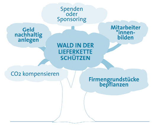 Ihr Engagement für den Wald kann vielfältig sein: Zentral ist es, die eigene Lieferkette nachhaltig zu gestalten und sicherzustellen, dass Sie durch Ihre Geschäftspraktiken keine Entwaldung verursachen. Aber auch die anderen dargestellten Aktivitäten können für Ihr Unternehmen wichtige Bausteine sein. © OroVerde und Global Nature Fund