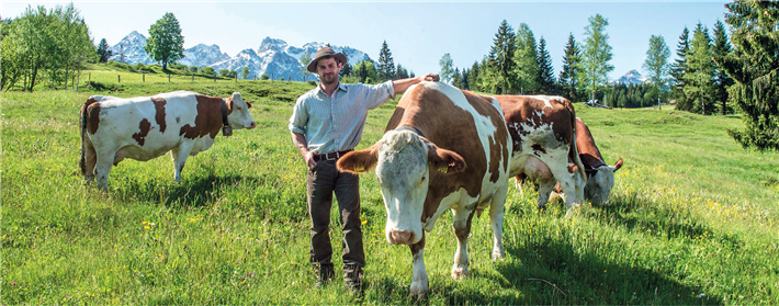 © Molkerei Berchtesgadener Land