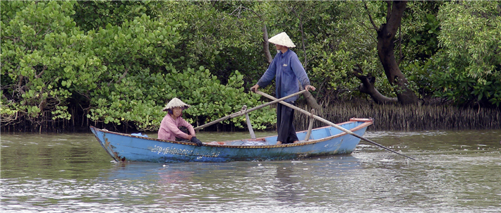 Mangroven wurden in den letzten Jahrzehnten großflächig abgeholzt, ihre Aufforstung bringt vielerlei Vorteile: Die Landschaften binden große Mengen CO2, sie fördern die Artenvielfalt und schaffen Einkommensmöglichkeiten für die lokale Bevölkerung. Aufnahme aus einem Renaturierungsprojekt des Global Nature Funds in Kambodscha. © Global Nature Fund