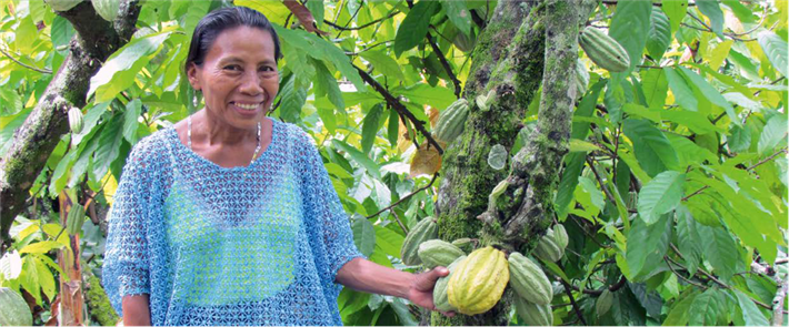 Bei der Planung und Umsetzung von Aufforstungsprojekten ist es wichtig, die lokale Bevölkerung und deren Bedürfnisse mit einzubeziehen. Die Aufnahme zeigt den Anbau von Kakao im WaldGewinn Projekt von OroVerde, das sozialverträglichen, naturnahen Waldwiederaufbau in Guatemala fördert. © OroVerde, Michael Metz