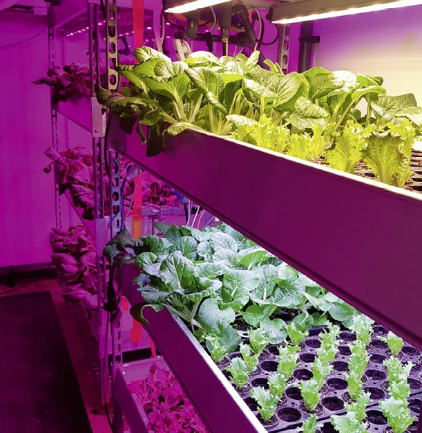 © Humboldt-Universität zu Berlin