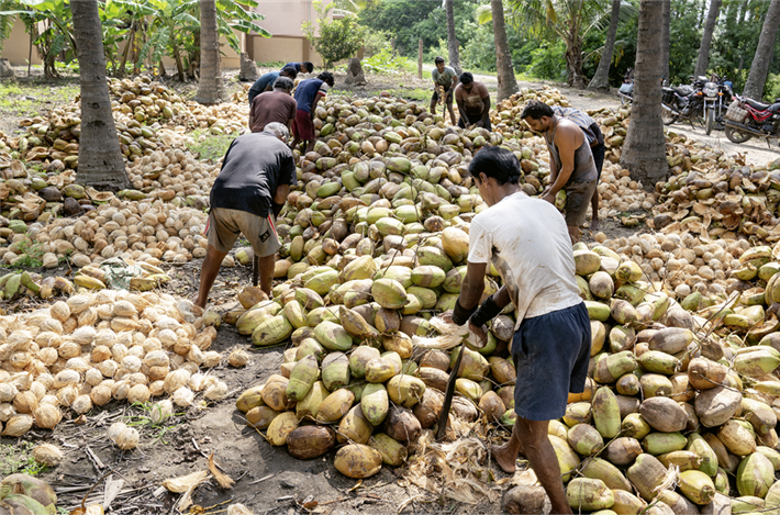 Der „versteckte Hunger: Lebensmittel sind reichlich vorhanden, aber essentielle Nährstoffe fehlen. ©Save Soil