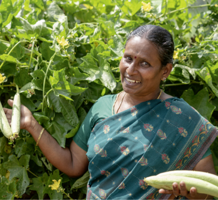 Gesunde Böden sind entscheidend für die Produktion von nährstoffreichen Lebensmitteln, die auch die psychische Gesundheit unterstützen. ©Save Soil