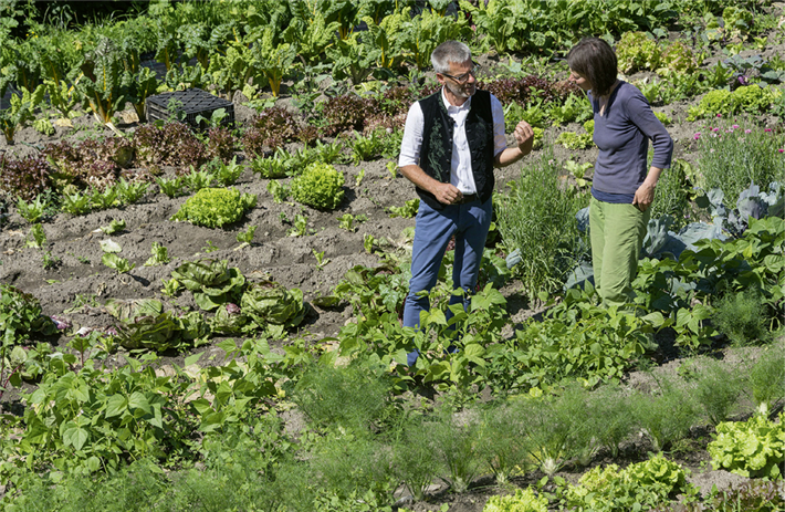 'Taufrisch' ist ein Gemeinschaftsgarten, der gerade im Sommer den Gemüsebedarf der beteiligten Hotels und Restaurants in Taufers deckt. &copy; Udo Bernhart