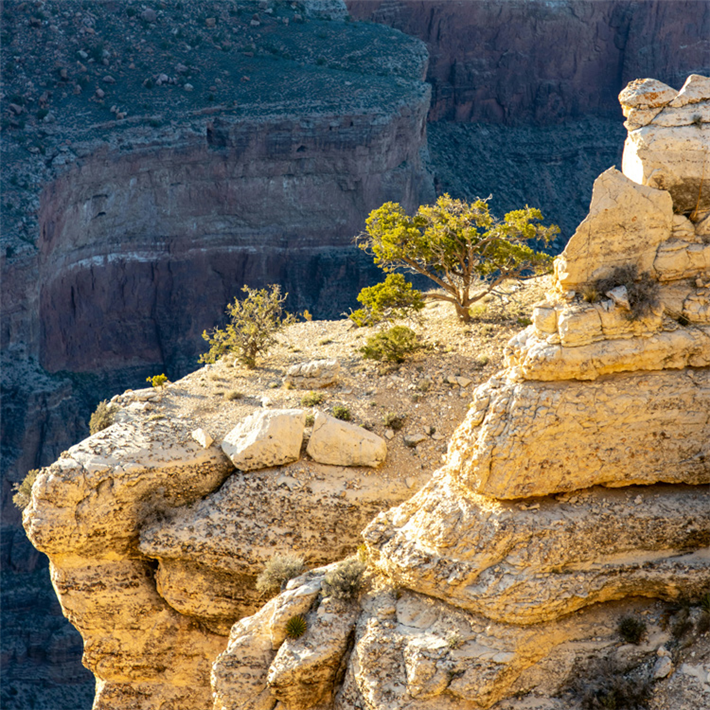 &copy; Alex Gisby für unsplash