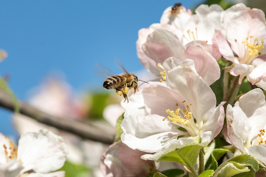 One Planet Business – by WWF