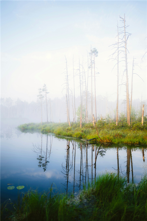 Die Wiedervernässung von Mooren ist ein bedeutender Beitrag zum Klimaschutz. Neue Finanzierungsinstrumente wie 'Nature-Linked Loans' oder 'Biodiversity Bonds' koppeln Finanzierung an kommende Risiken und messbare ökologische Ziele. &copy; Unsplash+ Community für unsplash+