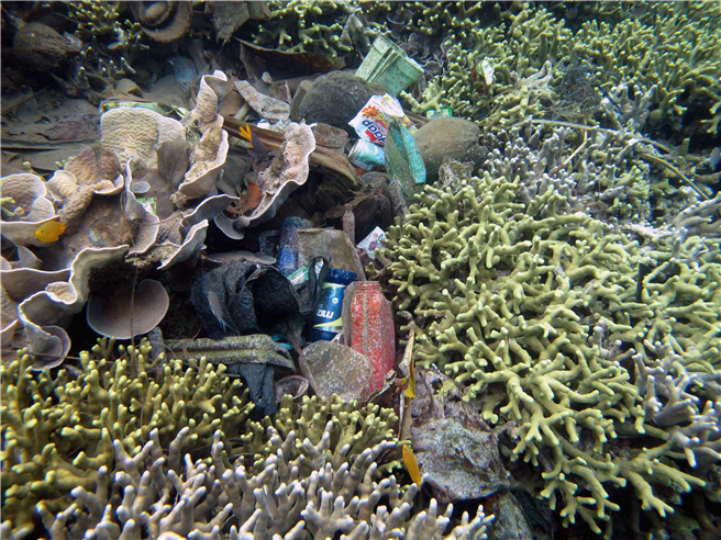Müll, der sich auf einem Korallenriff in Indonesien abgelagert hat © Mareike Huhn