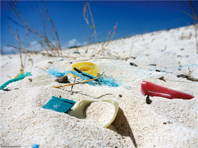 Kunststoffe werden oft nicht recycled und landen in der Natur. © Jonas Martin