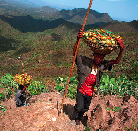 Der äthiopischen Tigray-Region ist es gelungen, degradiertes Land in großem Stil wiederherzustellen. ©WFC