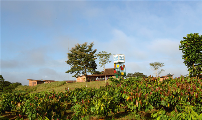 El Cacao im Südosten Nicaraguas – hier baut Ritter Sport selbst nachhaltigen Kakao an. © Ritter Sport