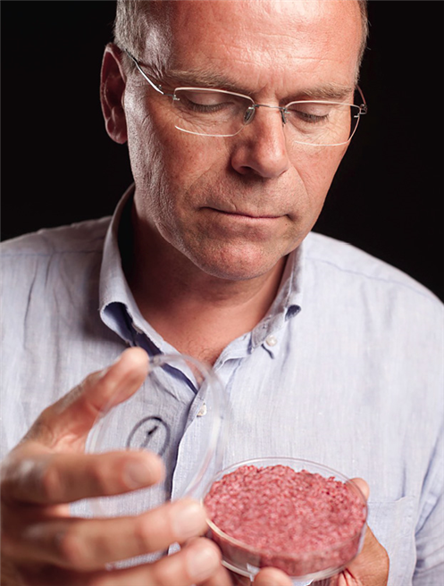 Mark Post, Professor an der Universtät Maastricht und Gründer von Mosameat präsentierte 2013 den ersten Hamburger aus Fleisch, das in Zellkulturen 'vermehrt' worden war. Im Labor wächst dabei Muskelgewebe aus Stammzellen heran – so wie 'normales' Fleisch, jedoch ohne Tiere. © Mosa Meat