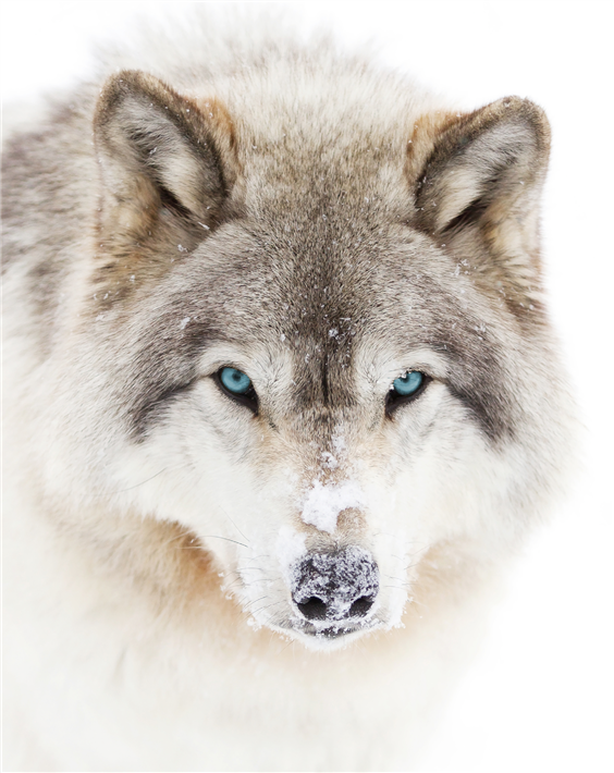 © Alois Heiler GmbH