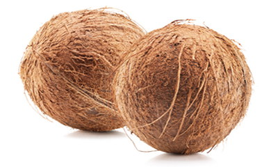 Kokosfasern und Kokosmark, auch bekannt als Cocopeat oder Kokostorf, aus der Verarbeitung von Kokosnüssen © 123RF / yurakp