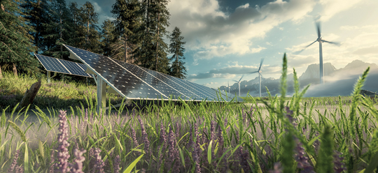 Mit CO2-Kompensation zur Klimaneutralität