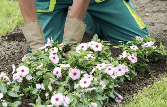 Torfminderung in der öffentlichen Beschaffung